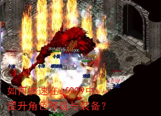 如何快速在sf999中提升角色等级与装备? 如何快速在sf999中提升角色等级与装备?