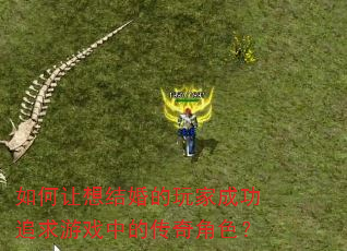 如何让想结婚的玩家成功追求游戏中的传奇角色? 如何让想结婚的玩家成功追求游戏中的传奇角色?