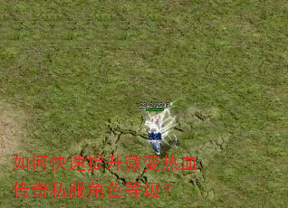 如何快速提升微变热血传奇私服角色等级? 如何快速提升微变热血传奇私服角色等级?