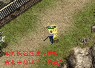 如何快速在迷失传奇打金服中赚取第一桶金? 如何快速在迷失传奇打金服中赚取第一桶金?