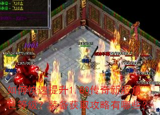 如何快速提升1.80传奇新服角色等级?装备获取攻略有哪些? 如何快速提升1.80传奇新服角色等级?装备获取攻略有哪些?