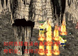 ���ѡ�����ʺϵ�ˢ�Ĵ���ְҵ����ʦ���ǵ�ʿ��