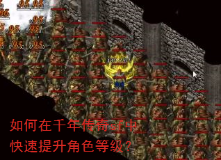 如何在千年传奇sf中快速提升角色等级? 如何在千年传奇sf中快速提升角色等级?