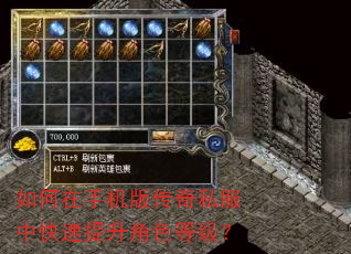 如何在手机版传奇私服中快速提升角色等级? 如何在手机版传奇私服中快速提升角色等级?
