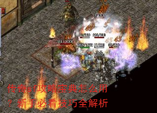 传奇sf攻略宝典怎么用?新手必看技巧全解析 传奇sf攻略宝典怎么用?新手必看技巧全解析