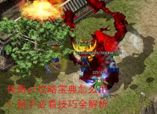 传奇sf攻略宝典怎么用?新手必看技巧全解析 传奇sf攻略宝典怎么用?新手必看技巧全解析
