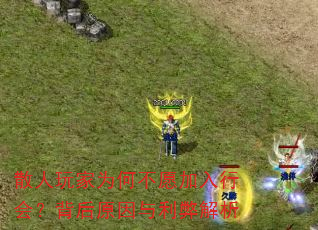 散人玩家为何不愿加入行会?背后原因与利弊解析 散人玩家为何不愿加入行会?背后原因与利弊解析