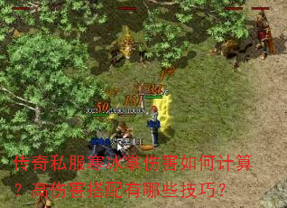 传奇私服寒冰掌伤害如何计算?高伤害搭配有哪些技巧? 传奇私服寒冰掌伤害如何计算?高伤害搭配有哪些技巧?