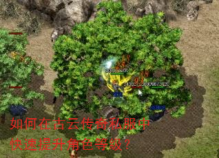 如何在古云传奇私服中快速提升角色等级? 如何在古云传奇私服中快速提升角色等级?