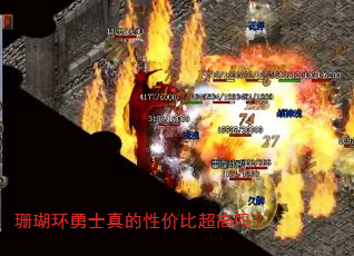 珊瑚环勇士真的性价比超高吗? 珊瑚环勇士真的性价比超高吗?