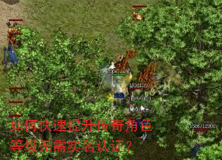 如何快速提升传奇角色等级无需实名认证? 如何快速提升传奇角色等级无需实名认证?