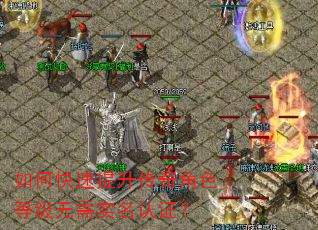 如何快速提升传奇角色等级无需实名认证? 如何快速提升传奇角色等级无需实名认证?