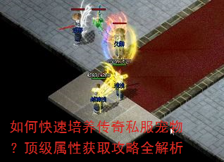 如何快速培养传奇私服宠物?顶级属性获取攻略全解析 如何快速培养传奇私服宠物?顶级属性获取攻略全解析