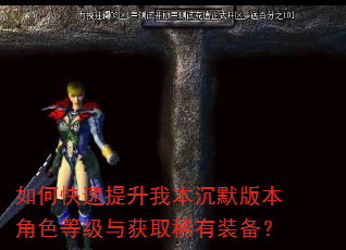 如何快速提升我本沉默版本角色等级与获取稀有装备? 如何快速提升我本沉默版本角色等级与获取稀有装备?