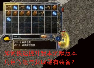 如何快速提升我本沉默版本角色等级与获取稀有装备? 如何快速提升我本沉默版本角色等级与获取稀有装备?