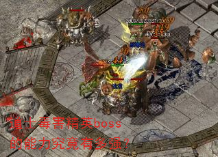 ��ʿ������Ӣboss�����������ж�ǿ��