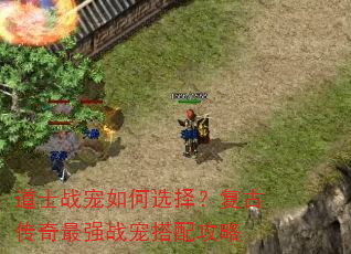 ��ʿս�����ѡ�񣿸��Ŵ�����ǿս����乥��