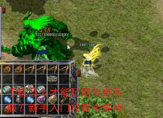 手机怎么才能玩网传奇私服?新手入门攻略全解析 手机怎么才能玩网传奇私服?新手入门攻略全解析