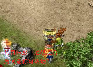 传奇私服中道战组合为何能称霸战场? 传奇私服中道战组合为何能称霸战场?