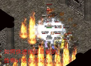 ��ο����ҵ����µĴ���sf������վ��