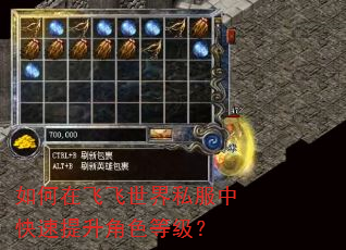 如何在飞飞世界私服中快速提升角色等级? 如何在飞飞世界私服中快速提升角色等级?
