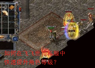 如何在飞飞世界私服中快速提升角色等级? 如何在飞飞世界私服中快速提升角色等级?