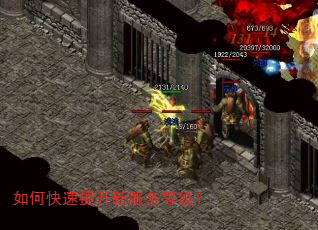 如何快速提升新服务等级? 如何快速提升新服务等级?