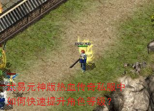 武易元神版热血传奇私服中如何快速提升角色等级? 武易元神版热血传奇私服中如何快速提升角色等级?