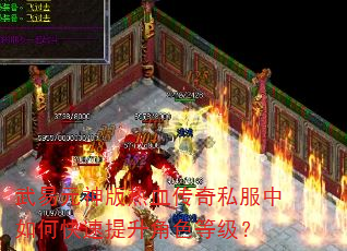 武易元神版热血传奇私服中如何快速提升角色等级? 武易元神版热血传奇私服中如何快速提升角色等级?