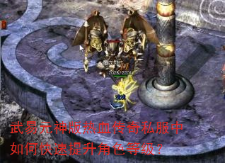 武易元神版热血传奇私服中如何快速提升角色等级? 武易元神版热血传奇私服中如何快速提升角色等级?