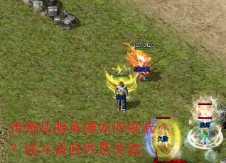 传奇私服英雄如何挑选?战斗适应性是关键 传奇私服英雄如何挑选?战斗适应性是关键