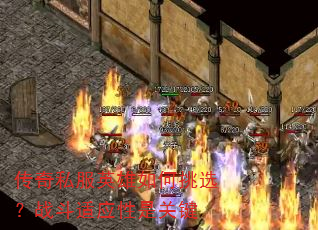 传奇私服英雄如何挑选?战斗适应性是关键 传奇私服英雄如何挑选?战斗适应性是关键