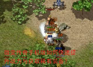 微变传奇手机版如何快速提升战力与获取稀有装备? 微变传奇手机版如何快速提升战力与获取稀有装备?