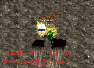 简单霸主传奇内挂使用攻略?新手必看操作指南 简单霸主传奇内挂使用攻略?新手必看操作指南