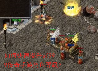 如何快速提升sf999传奇手游角色等级? 如何快速提升sf999传奇手游角色等级?