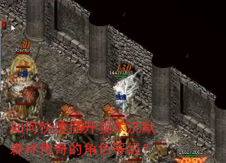 如何快速提升我本沉默森林传奇的角色等级? 如何快速提升我本沉默森林传奇的角色等级?