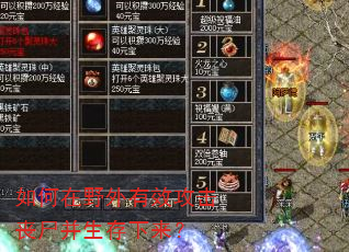 如何在野外有效攻击丧尸并生存下来? 如何在野外有效攻击丧尸并生存下来?