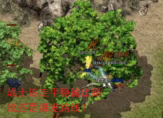 战士该走平稳输出路线还是爆发路线? 战士该走平稳输出路线还是爆发路线?