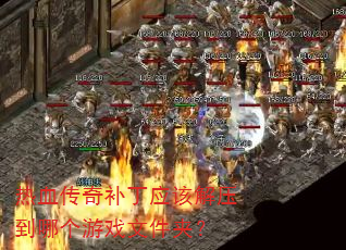 ��Ѫ���油��Ӧ�ý�ѹ���ĸ���Ϸ�ļ��У�