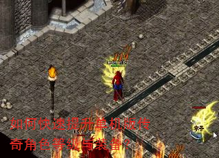 如何快速提升单机版传奇角色等级与装备? 如何快速提升单机版传奇角色等级与装备?