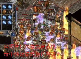 �����1.76΢�临�Ŵ����п���������ɫ�ȼ���