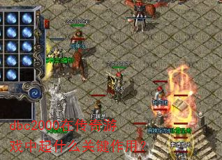 dbc2000�ڴ�����Ϸ����ʲô�ؼ����ã�