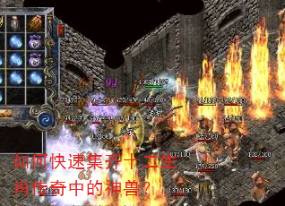 如何快速集齐十二生肖传奇中的神兽? 如何快速集齐十二生肖传奇中的神兽?