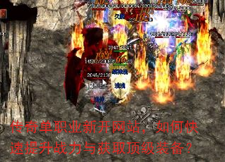 ���浥ְҵ�¿���վ����ο�������ս�����ȡ����װ����