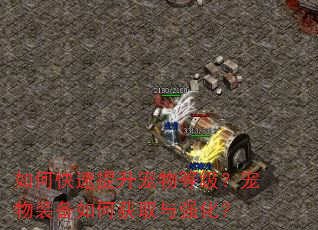 如何快速提升宠物等级?宠物装备如何获取与强化? 如何快速提升宠物等级?宠物装备如何获取与强化?